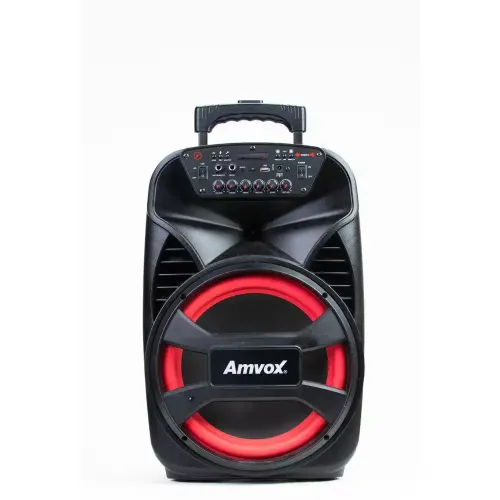 AMVOX CAIXA AMPLIFICADA ACA 480 VIPER II